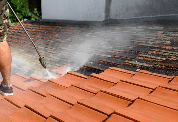 Best Affordable Pressure Washing  in Kensington Park, FL